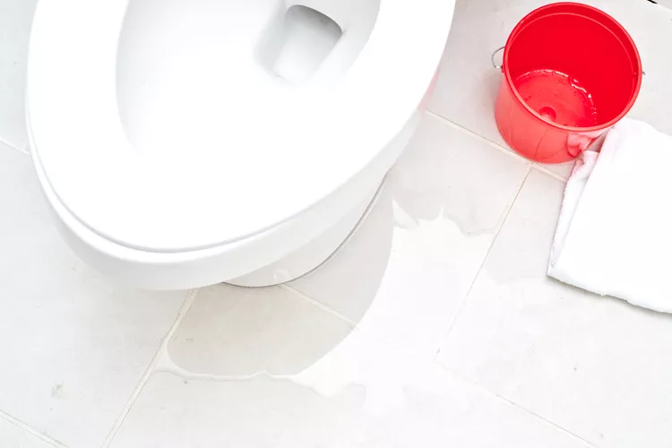 Toilet Seal Maintenance Tips for Catching Hidden Floor Leaks